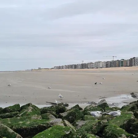 Near Zeedijk Beach, Cleaning Included Koksijde