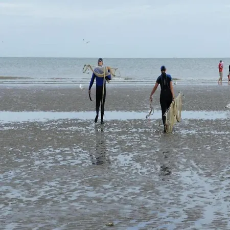Near Zeedijk Beach, Cleaning Included Koksijde