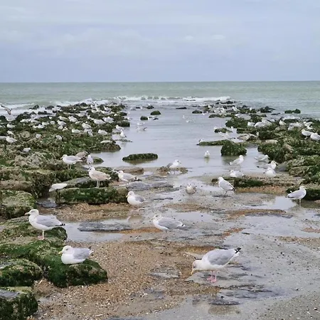 Appartamento Near Zeedijk Beach, Cleaning Included
